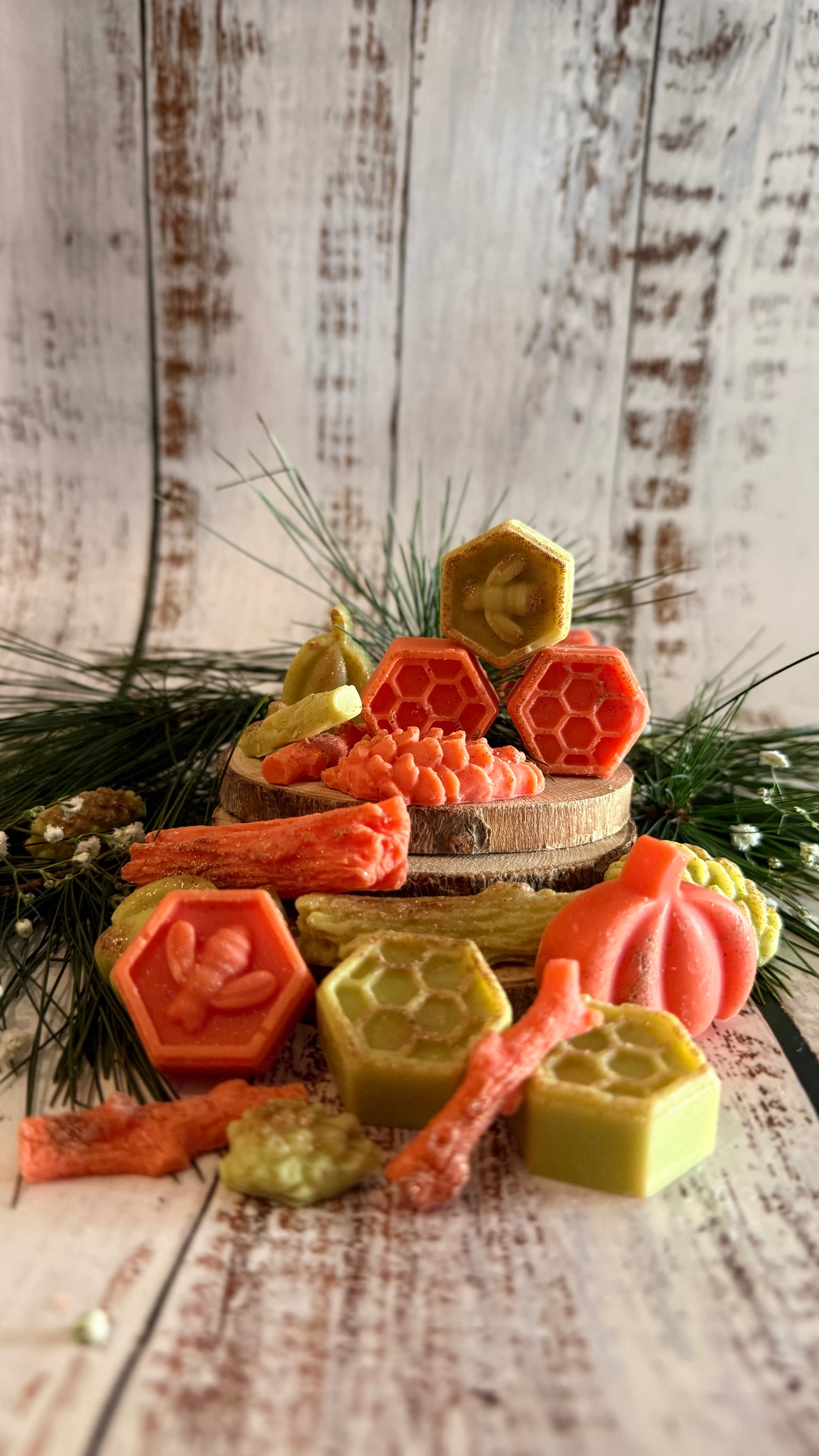 Terra - Illatviasz (Forest Whisper)