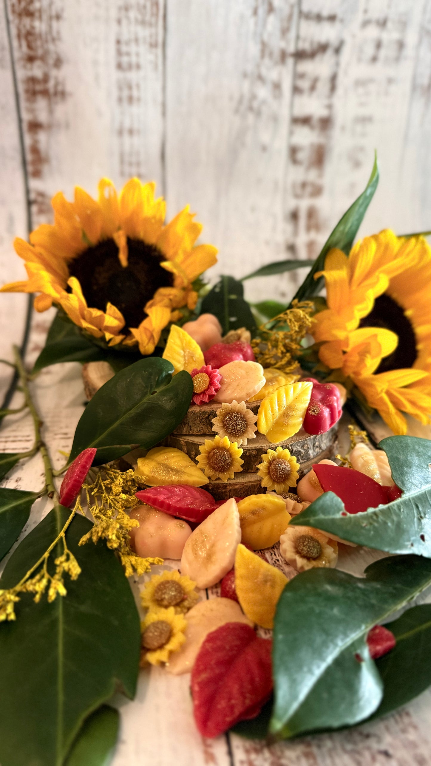 Solara - Illatviasz (Sunset)